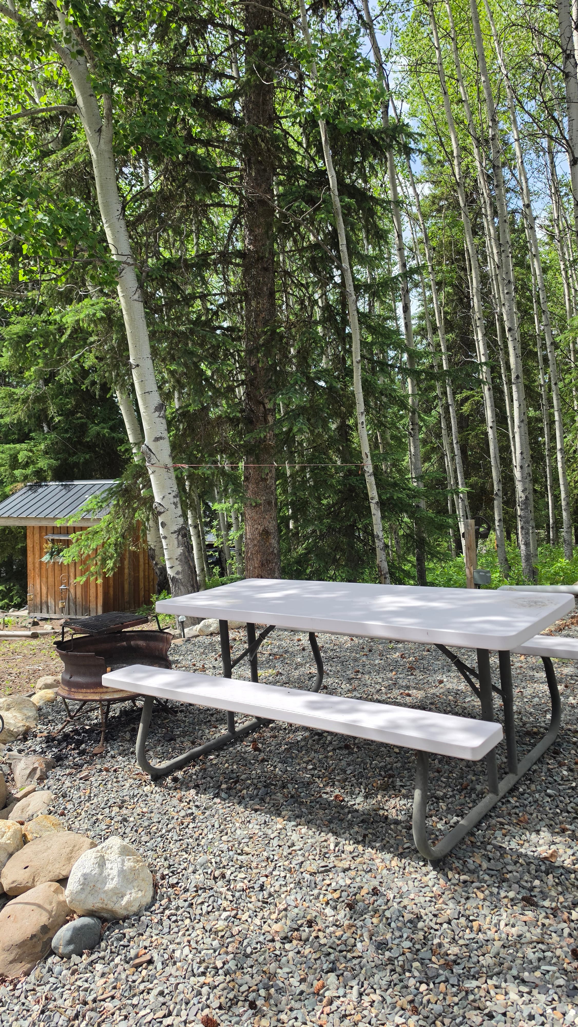 Cozy Guest House at Sheridan Lake - Photo 4